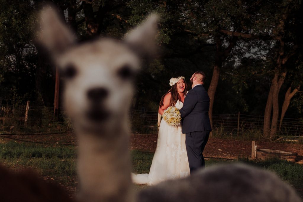 austin wedding photographers