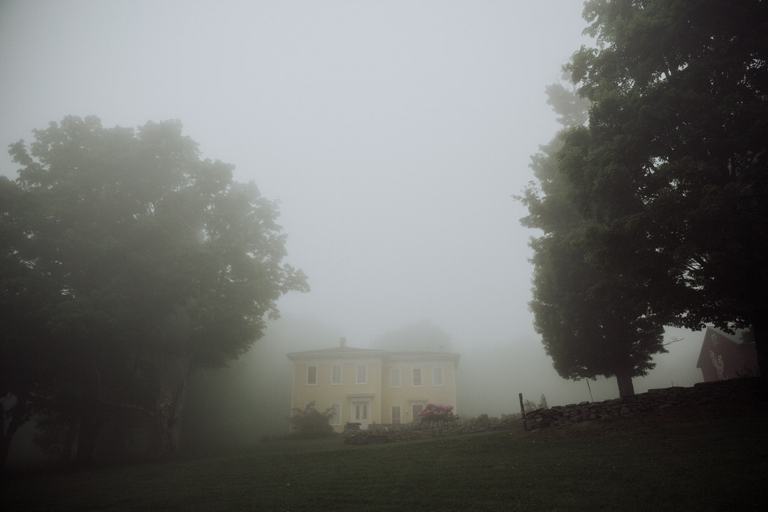 gloomy farm and two trees