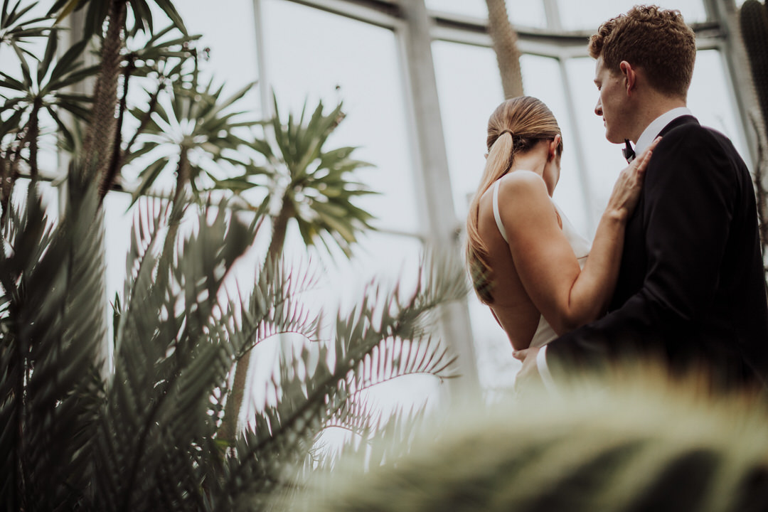 low angle shot behind the couple