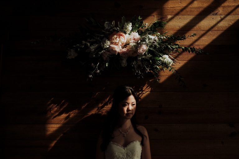 moody portrait of bride