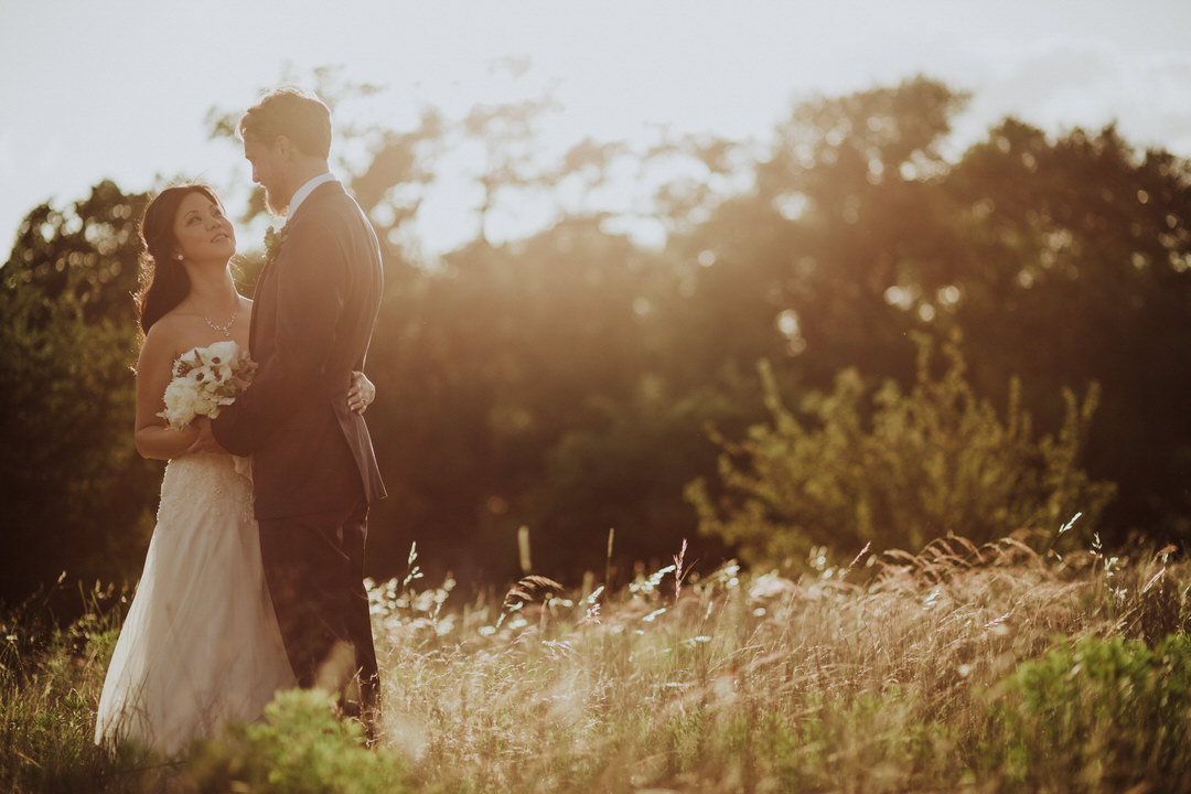 open field photo