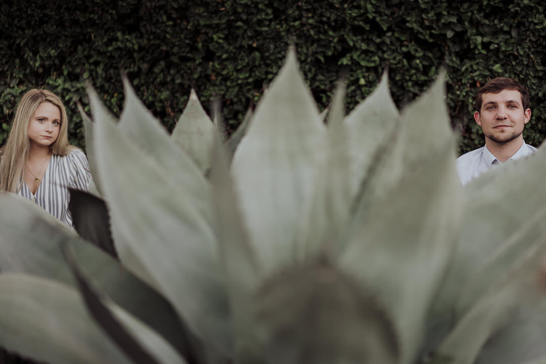 portrait of couple framed with aloe vera