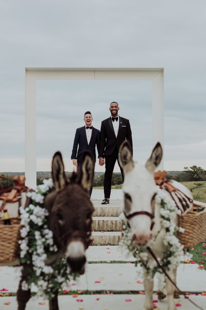 Two grooms holding hands and smiling joyfully under a modern, square wedding arch, with two donkeys adorned with white flowers in the foreground, framing a picturesque rural landscape