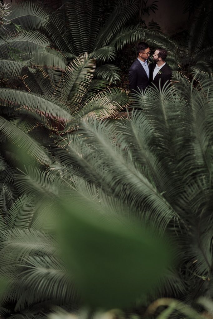 A tender moment between two grooms standing amid lush palm fronds, their silhouettes partially obscured by the foliage, highlighting a private exchange in a tropical setting